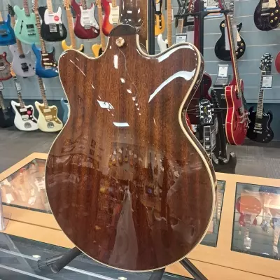 GRETSCH G2657TG IMPERIAL STAIN 2
